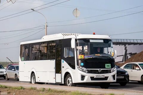Vector next 320455 04