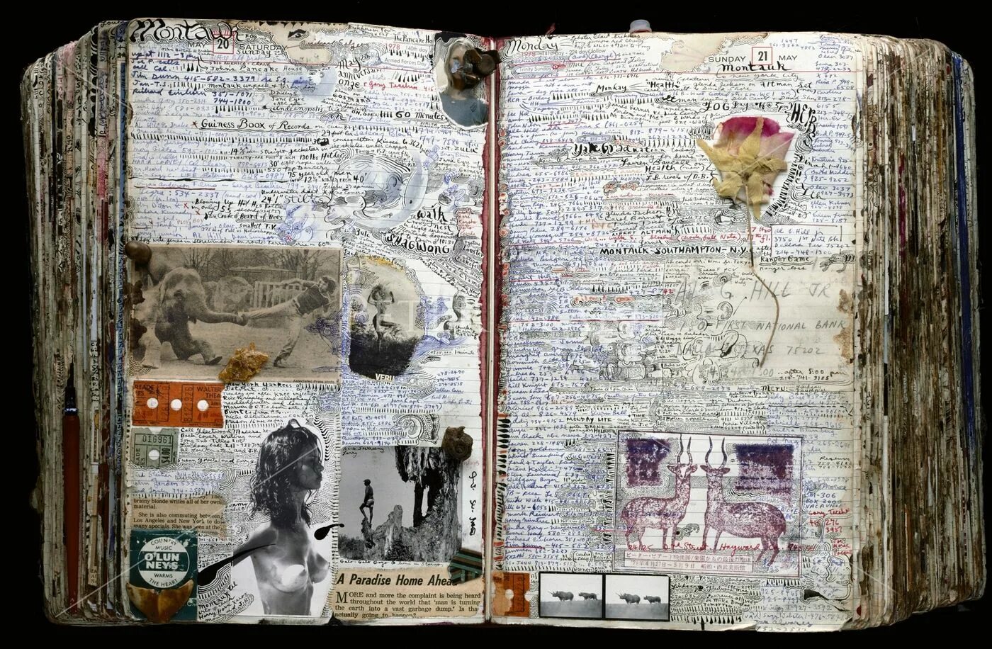 Diary pages