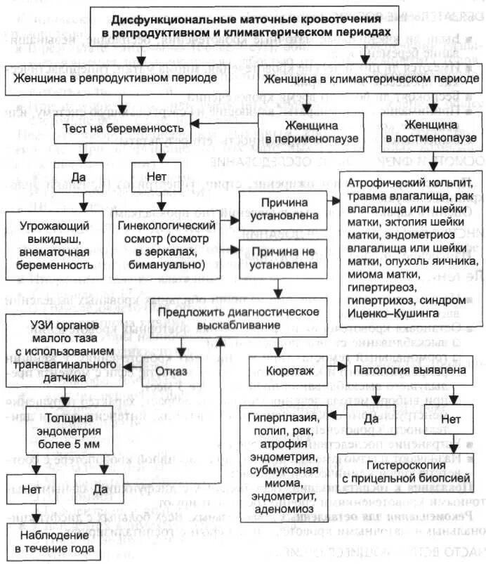 Алгоритм диагностики аномальных маточных кровотечений. Патогенез маточных кровотечений репродуктивного периода. Алгоритм обследования при маточном кровотечении. Алгоритм при кровотечениях в акушерстве. Кровотечение в постменопаузе