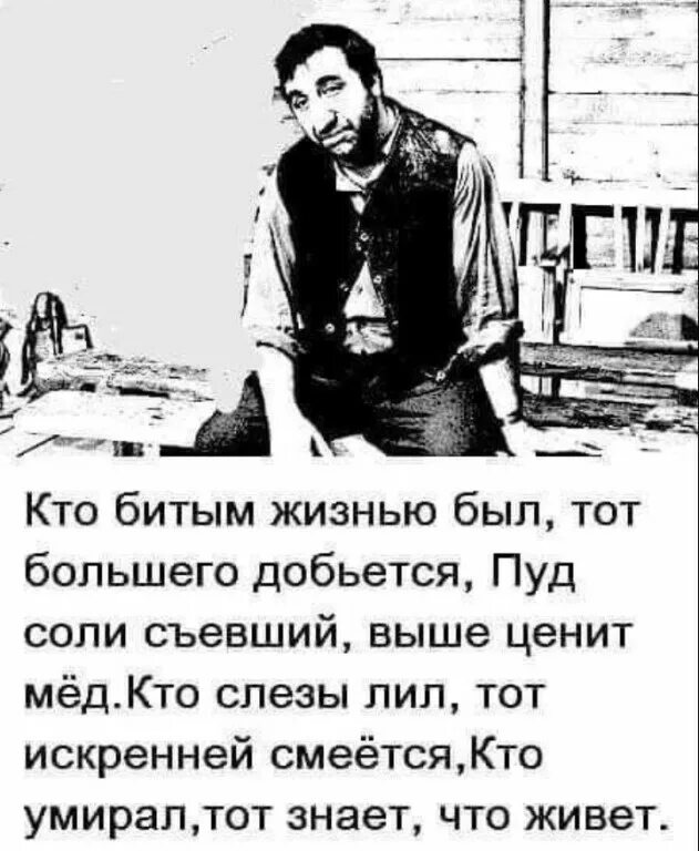 Кто жизнью бит тот большего. Кто жизнью бит тот большего добьется пуд соли. Кто жизнью бит тот большего добьется. Кто жизнью бит тот большего добьется. Кто битым жизнью был.