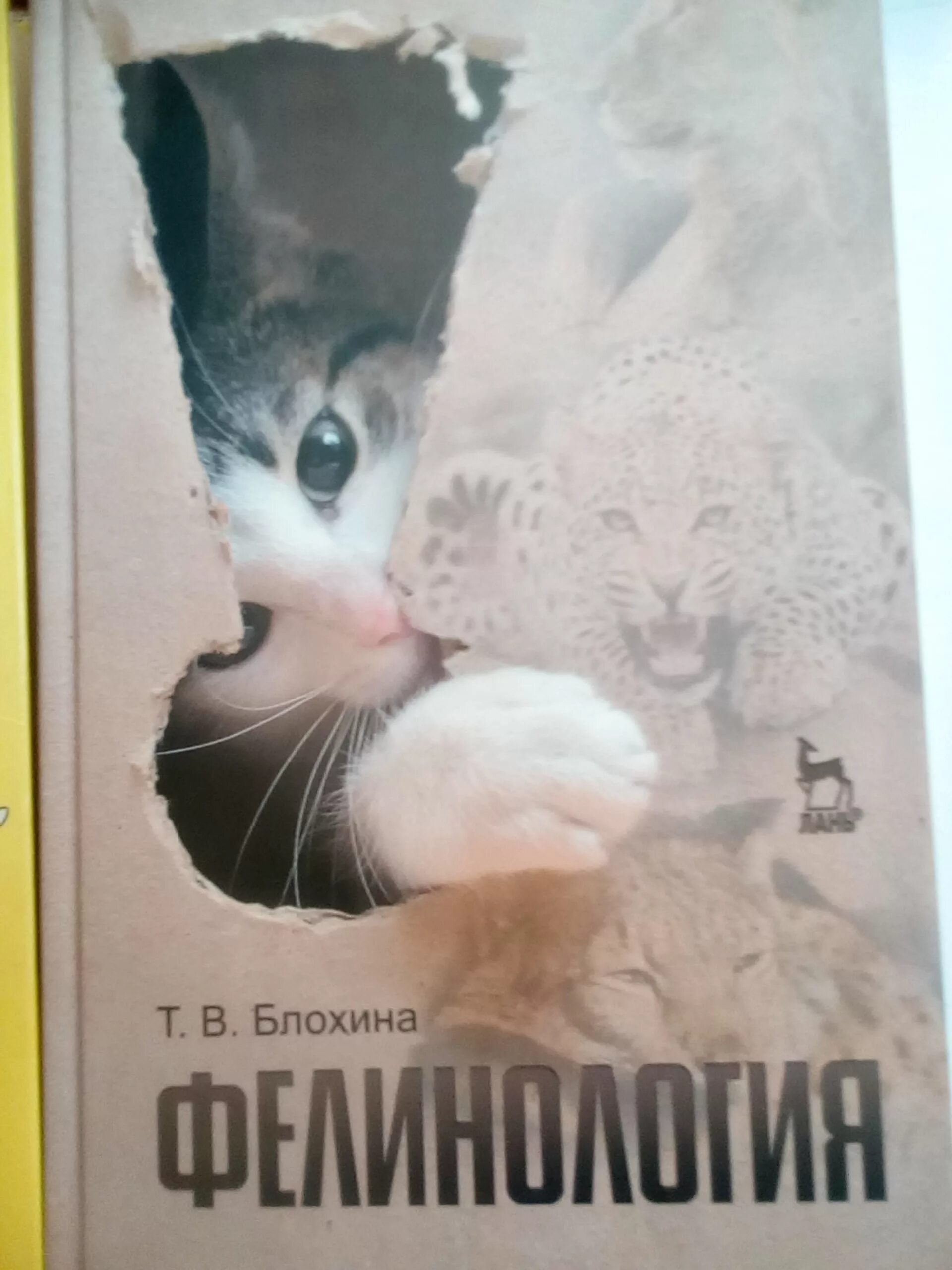 Наука о котах. Фелинология. Фелинология это наука. Фелинология это наука. Фелинология это наука.