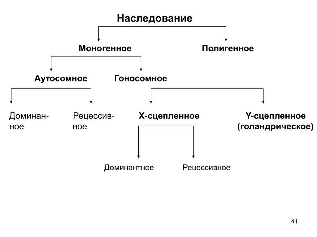 Типы наследования признаков моногенное полигенное. Схема моногенного наследования признаков. Моногенное наследование. - Типы наследования признаков.. Гоносомный Тип наследования. Моногенные наследственные