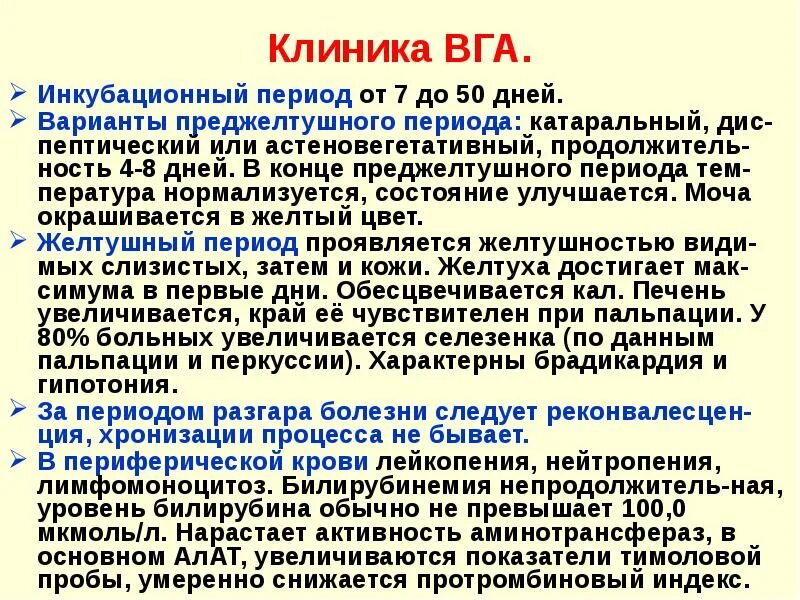 Клиника гепатита ВГА. Клиника преджелтушного периода вирусных гепатитов. Клиника преджелтушного периода ВГА. Периоды ВГА. Вирусный гепатит желтушный период