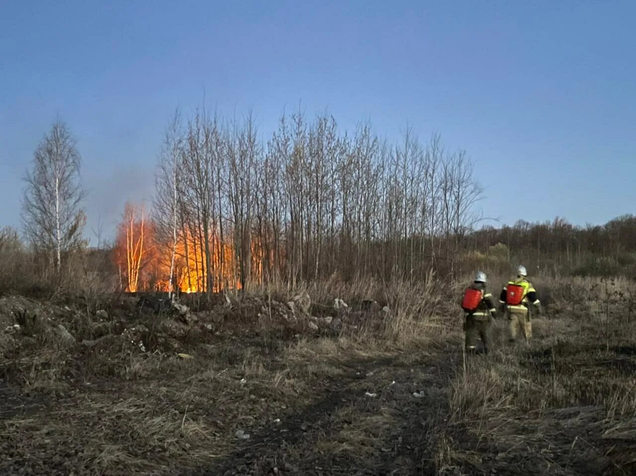 Противопожарный режим лес трава. Противопожарный режим в Нижегородской области 2023. Противопожарный режим фото. Противопожарный режим воронеж 2024