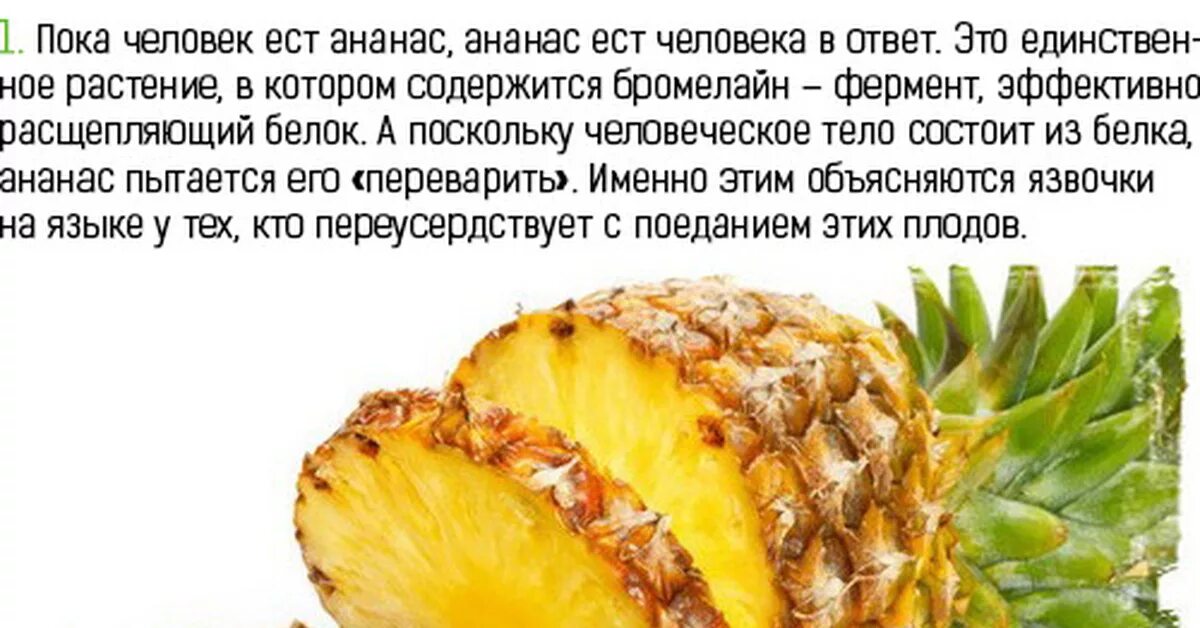 Можно ли ананас при гв. Ананас ест тебя. интересные факты про ананас для детей. ешь ананасы. белок в ананасе.