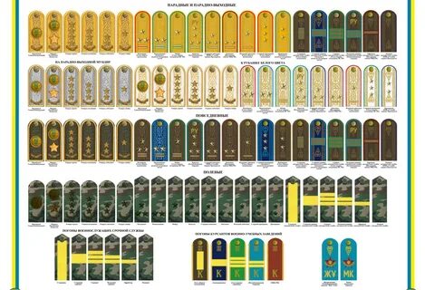 Қыз жігіттің жыныс мүшесін қырады (видео)