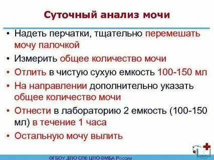 Как сдать суточную мочу на белок правильно. Как сдать суточную мочу на белок правильно