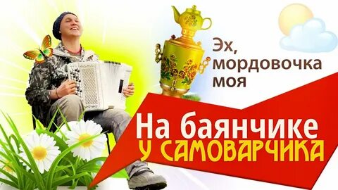 Садко ромашки