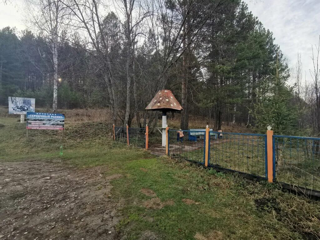 Родники башкортостана. Серебрянный Родник Башкортостан. Родник серебряный ключ Башкортостан. Родник серебряный ключ Бийск. Серебрянный Родник Сураж.