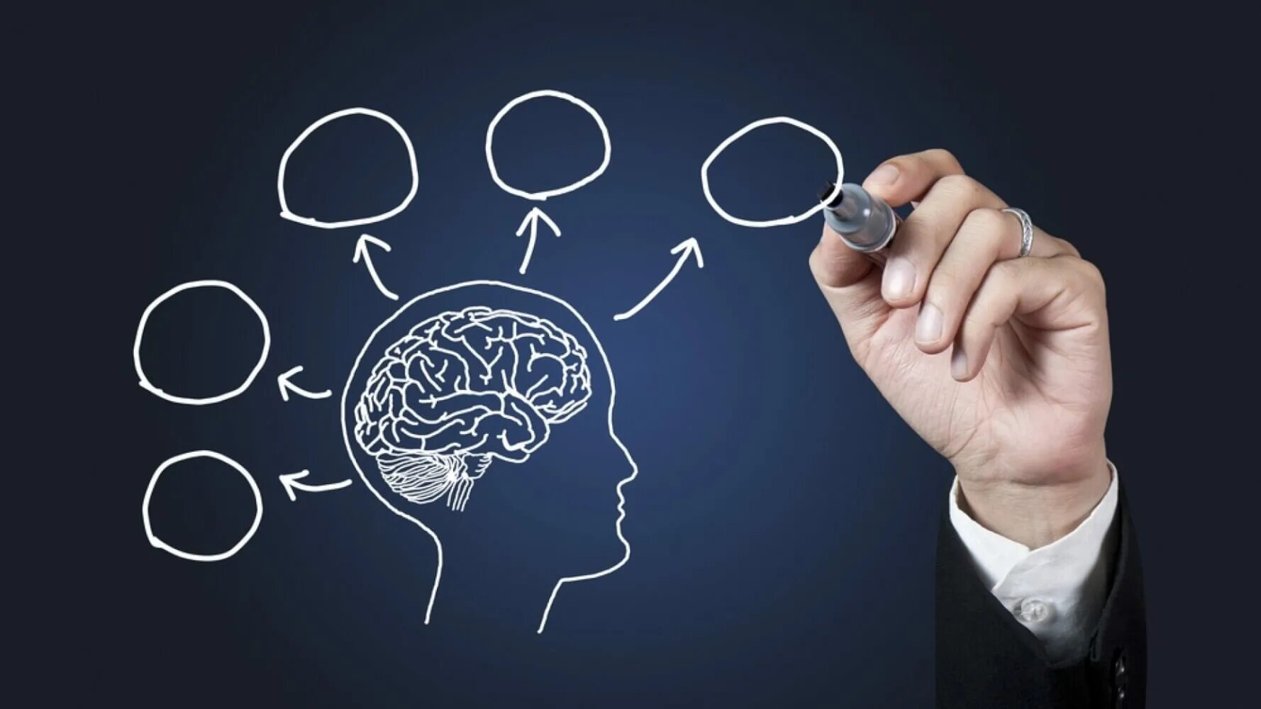 Интеллект эрудиция