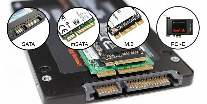 Delock 2.5i Converter SATA Express / U.2 - 1x M.2 / 1x mSATA with Enclosure 9.5m
