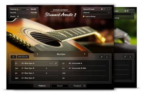 Session guitarist picked acoustic