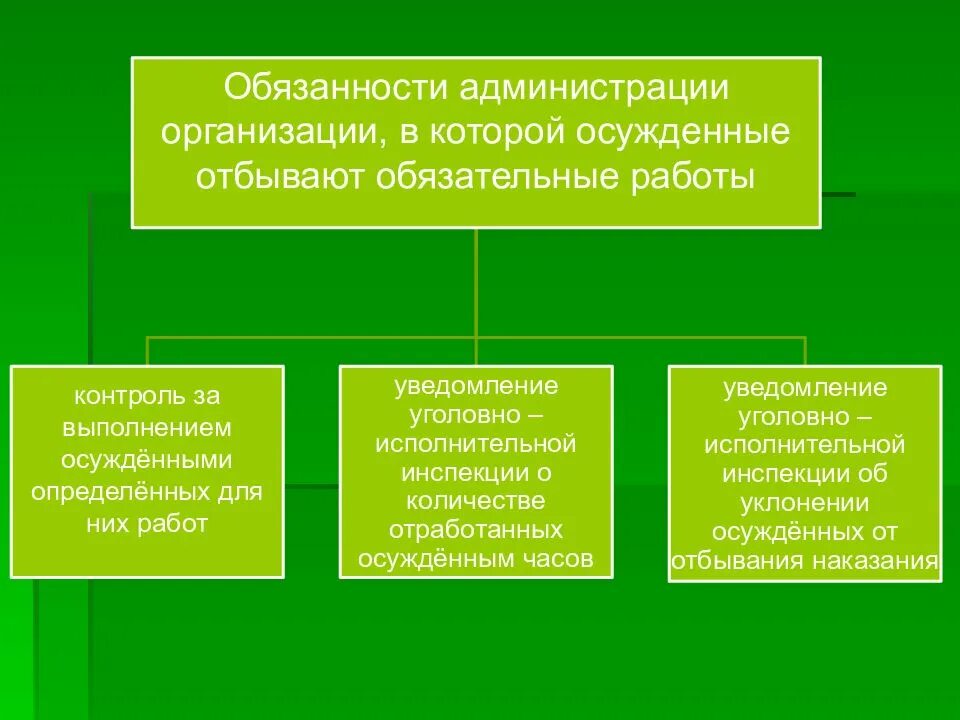 Обязанности администрации. Обязанности администрации фирмы. Обязанности администрации кратко. Должности в администрации организации.