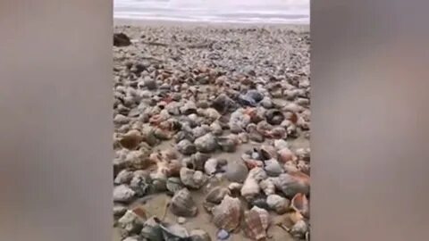 Ночь безлунна успокоившиеся после шторма