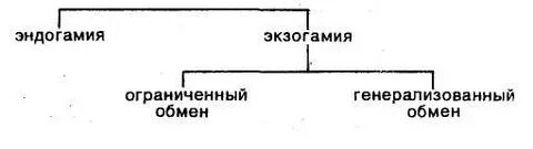 Экзогамия это