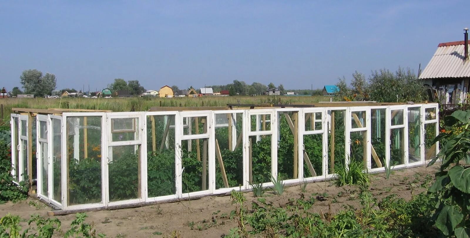 Парник из окон. Теплица из рам. Парник из оконных рам. Парник из рам. Парник из рам своими руками