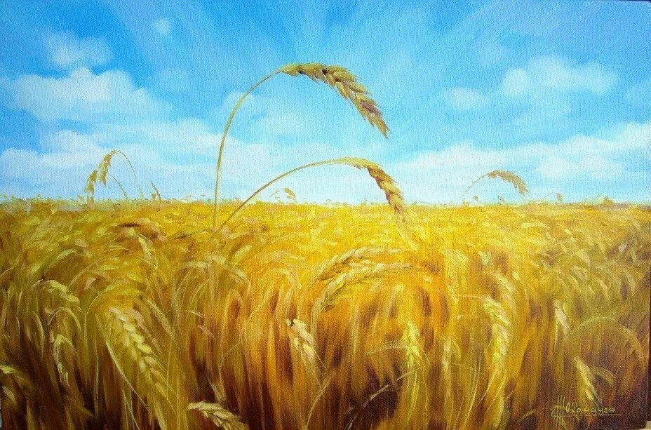 Колоски в живописи. Поле колосков рисунок. Колоски в живописи. Фет зреет рожь. Поле колосков рисунок.