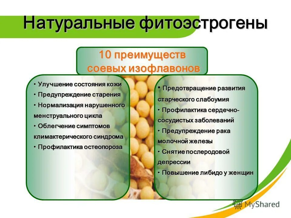 эстрогены в продуктах питания для женщин. фитоэстрогены в продуктах. фитоэстрогены для женщин. натуральные фитоэстрогены для женщин. натуральные фитоэстрогены для женщин.