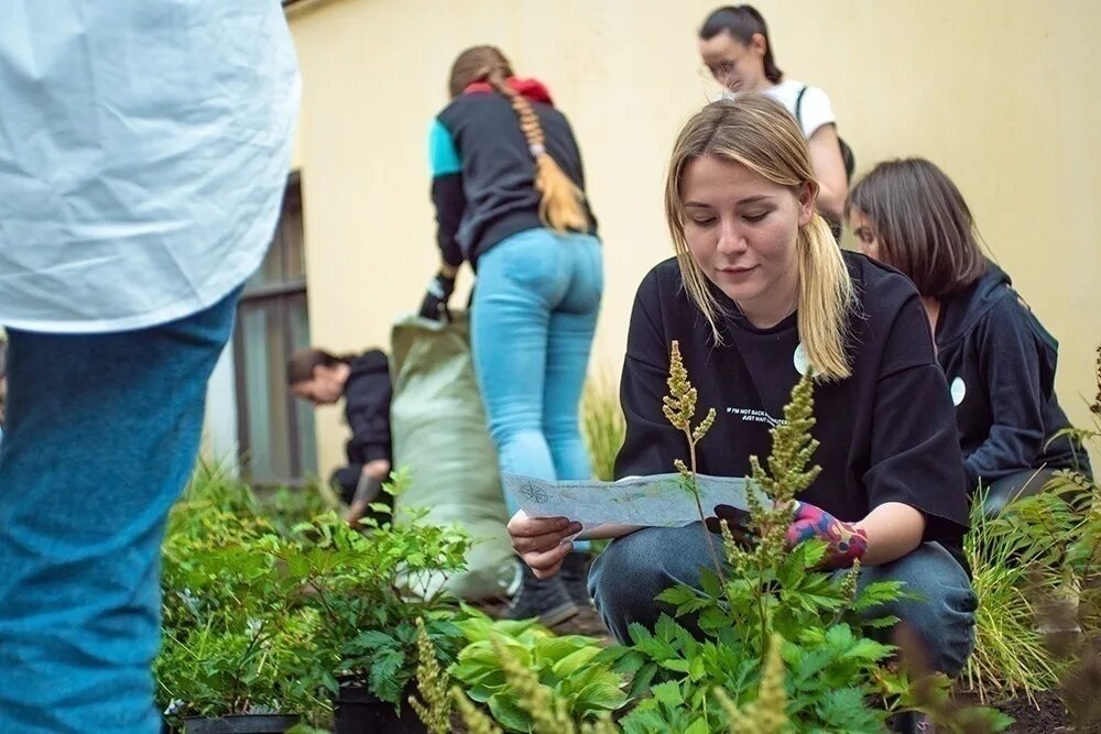 Высадка сосен. Деревья во дворе. Парк здоровья бишкек. Высадка сосен. Дети из отряда озеленителей посадили 55 деревьев.