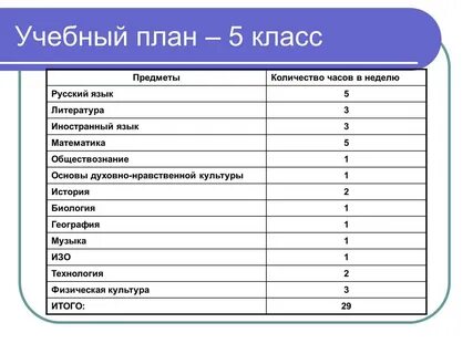 6 класс какие предметы изучаются 2024