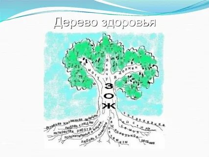 Дерево здоровья