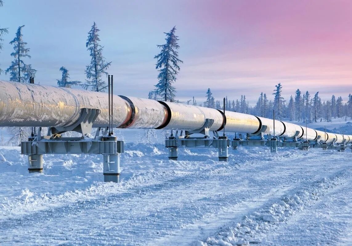 Нефтепровод или нефтепровод. Магистральный нефтепровод заполярье пурпе. трубопровод заполярье пурпе. заполярье пурпе нефтепровод транснефть. магистральный нефтепровод транснефть.