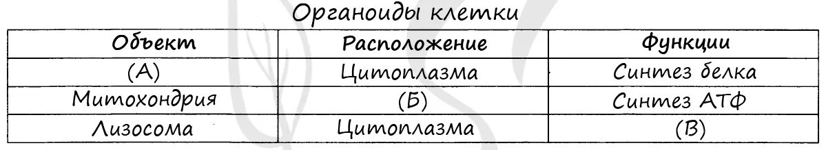 Картинки СООТВЕТСТВУЕТ ПЕРЕЧНЮ