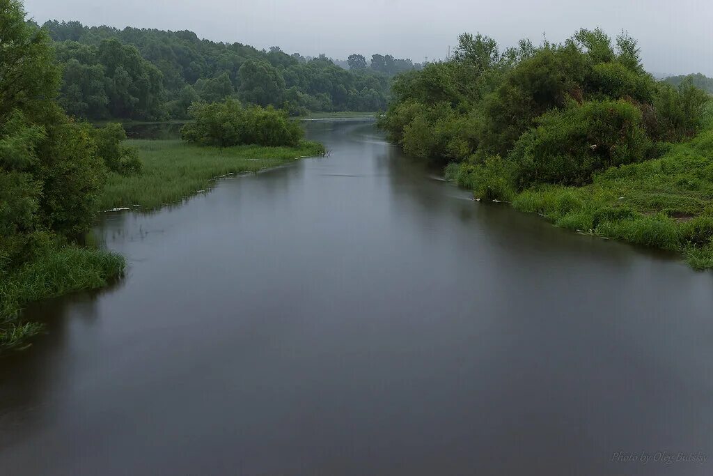 Река солотча. Солотча (река). Река Солотча фото.