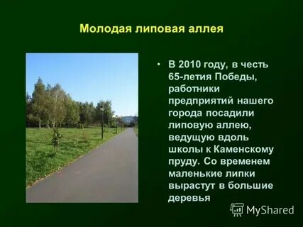 Стояли темных лип аллеи кругом шиповник