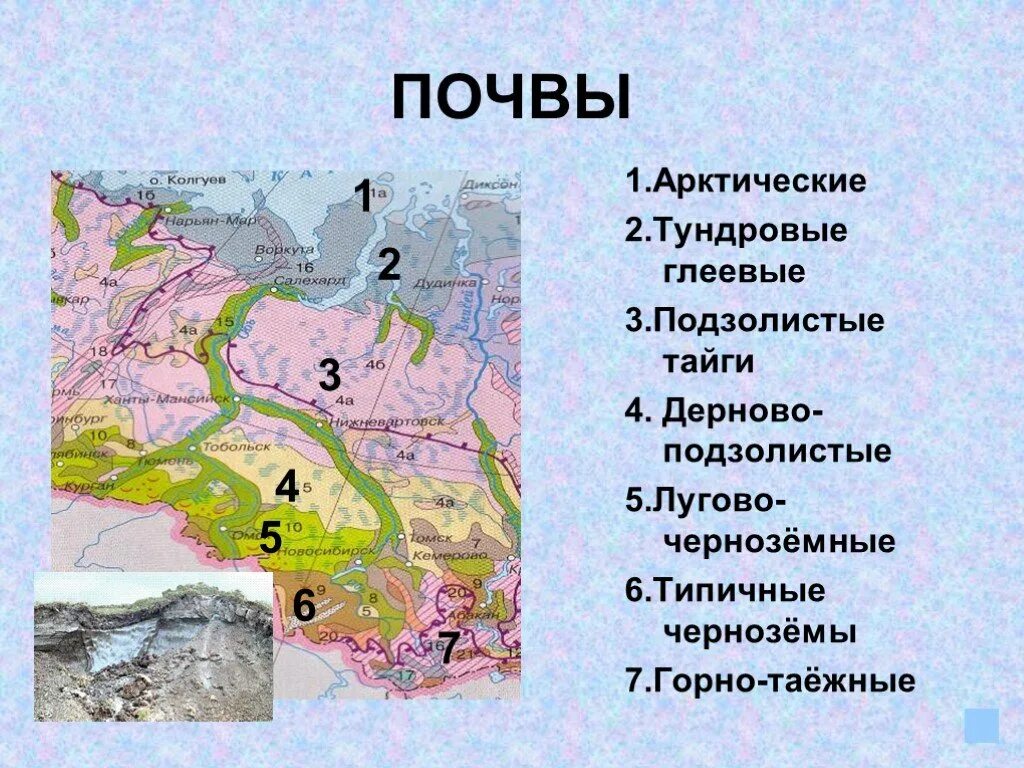 Ресурсы средней сибири. Типы почв Западной Сибири. Типы почв Северо Восточной Сибири. Почвы Западно сибирской равнины. Карта почв Западной Сибири.