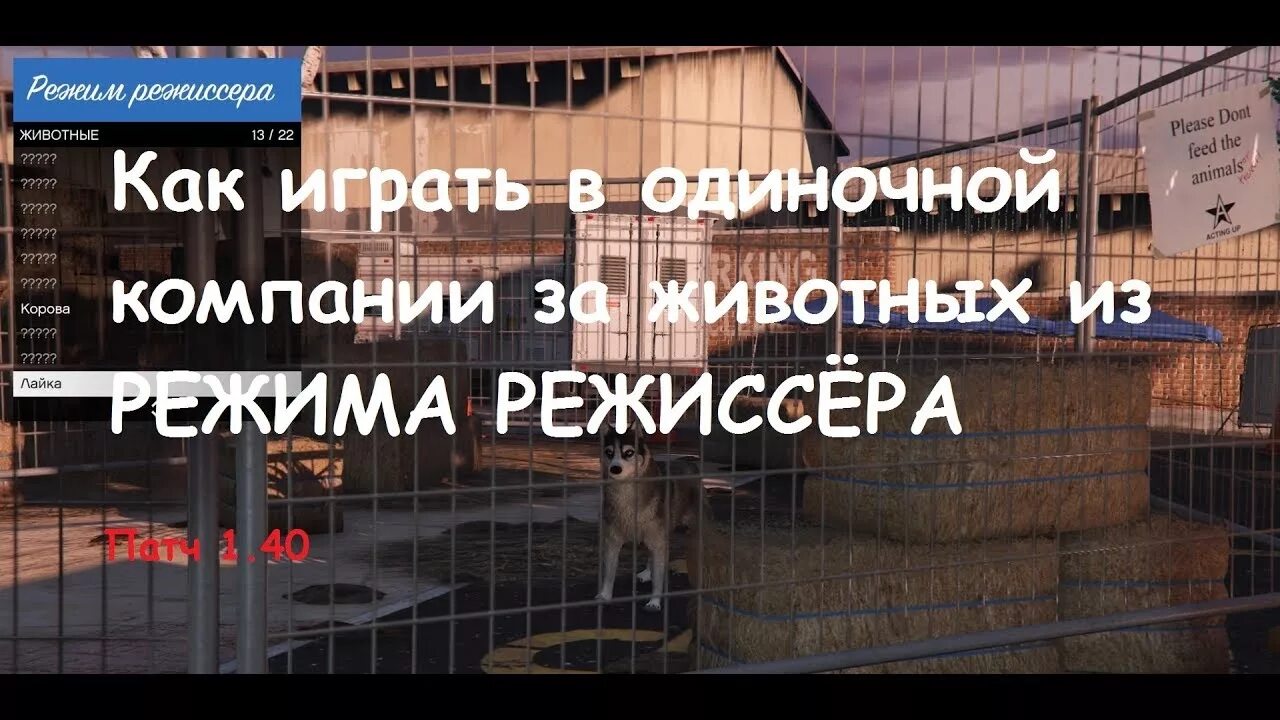 Как зайти в режим режиссера гта 5. Режим режиссера в ГТА 5 животные. Режим режиссера. Как играть за животных в ГТА 5 В режиме режиссера. Режим Режиссер ГТА 5 PS.