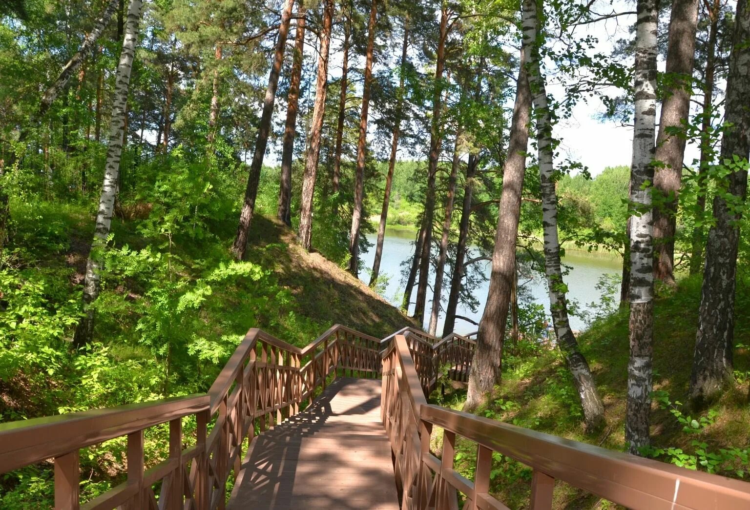 Природный парк тюмень. Гилёвская роща Тюмень. Парк в Тюмени роща Тюмень Гилевская. Гилёвская роща Тюмень летом. Гилевская роща летом Тюмень.