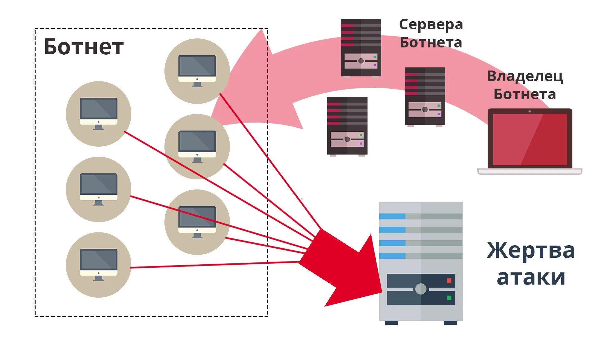 Как сделать бот сеть. Ботнет. компьютерный вирус ботнет. бот сеть. ботнет схема.