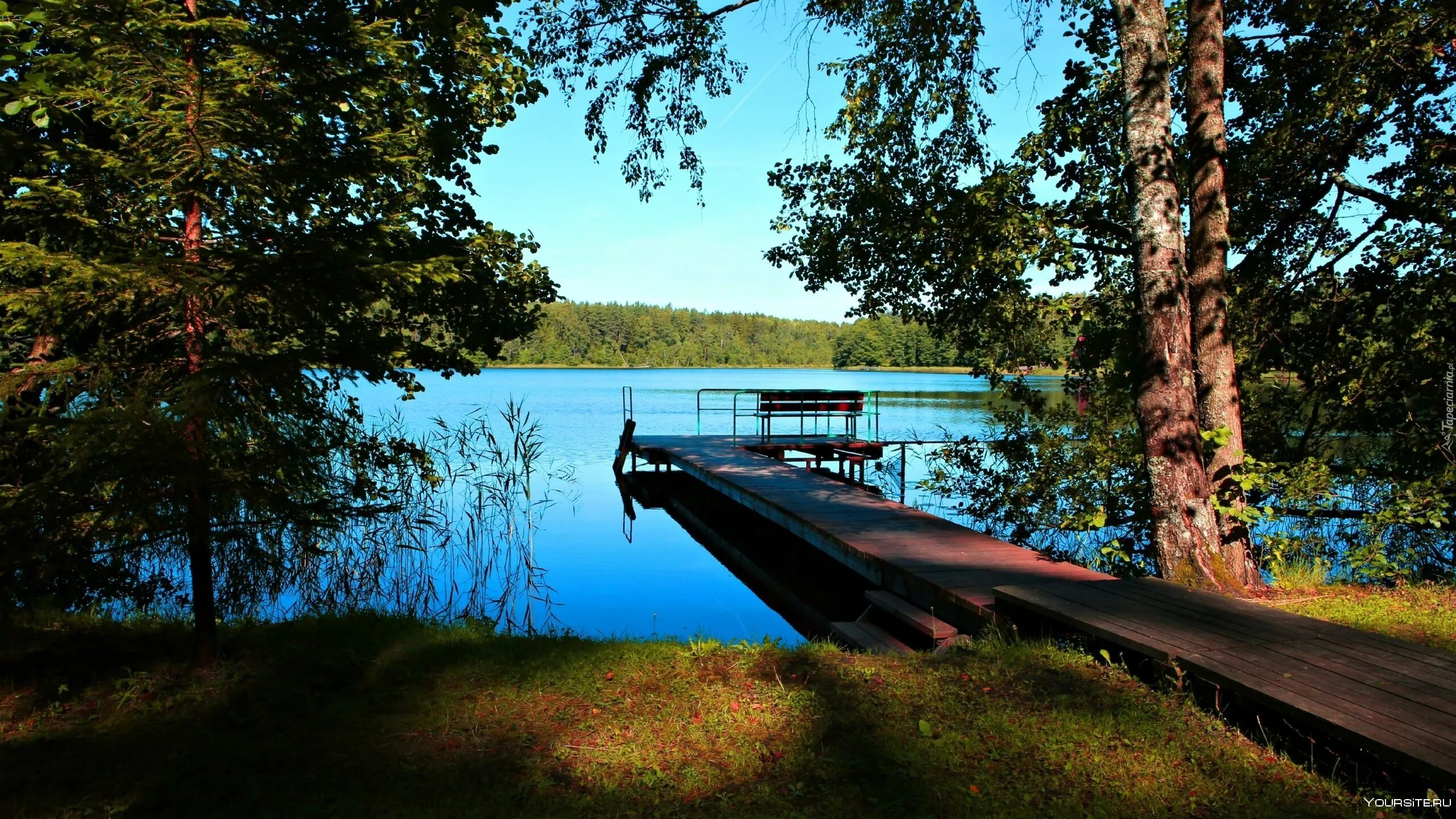 Селигер Лесное озеро. Серебряное озеро Селигер. Данилищенское озеро. Лесное озеро Михайловск.