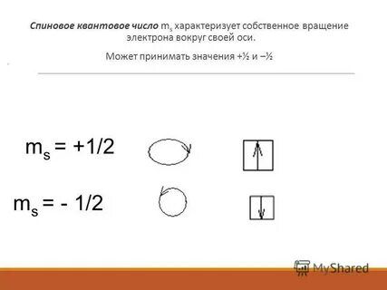 Спиновое квантовое число