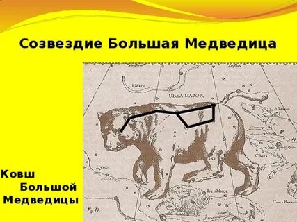 Созвездие большая медведица для детей окружающий мир