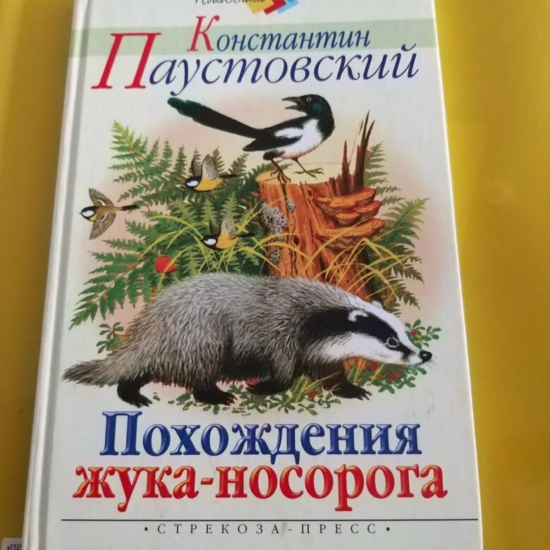 Приключения жука-носорога Паустовский. Паустовский похождения жука носорога. Жук носорог Паустовский. Похождения жука-носорога Паустовский читать.