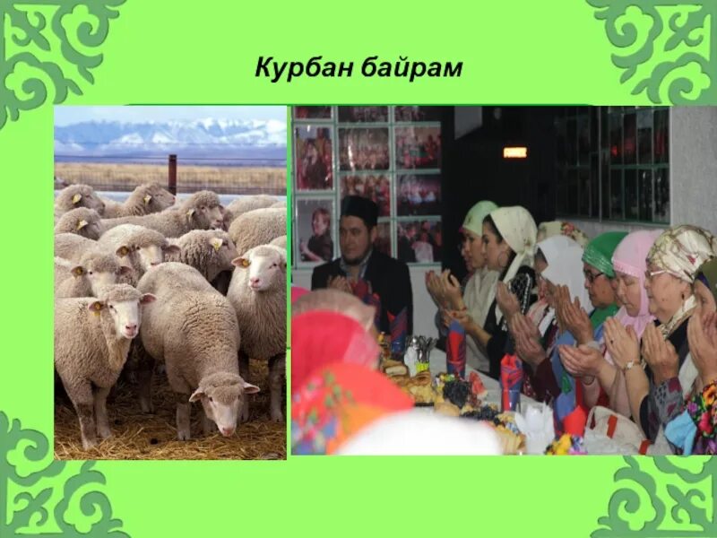 Курбан байрам кратко. Татарский национальный праздник Курбан-байрам. Курбан байрам татарские традиции. Традиции праздника Курбан байрам. С праздником Курбан байрам.