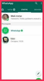 Тик ток в ватсапе