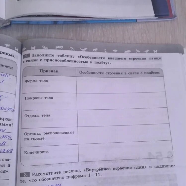 Таблица по биологии 8 класс птицы. Внешнее строение птиц таблица. Особенности внешнего строения птиц таблица. Внешнее строение птиц таблица 7 класс. Таблица по внешнему строению птиц.