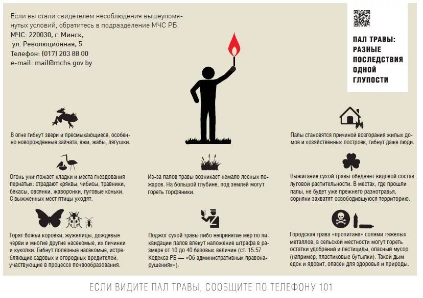 Памятка для детей пал травы. Палы травы памятка. Пал травы инфографика. Буклет пал травы.