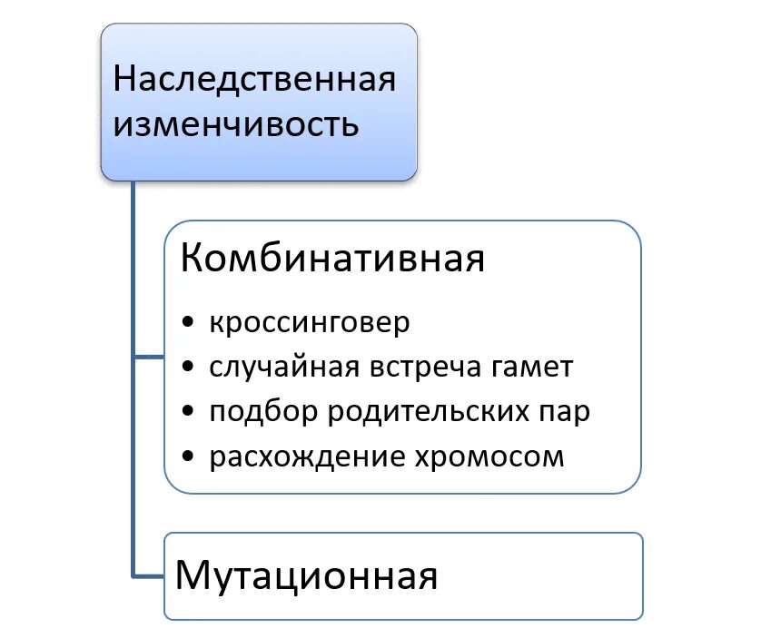 Комбинативная изменчивость ЕГЭ. Мутационная изменчивость ЕГЭ. Комбинативная изменчивость ЕГЭ биология. Виды комбинативной изменчивости. Случайная изменчивость виды