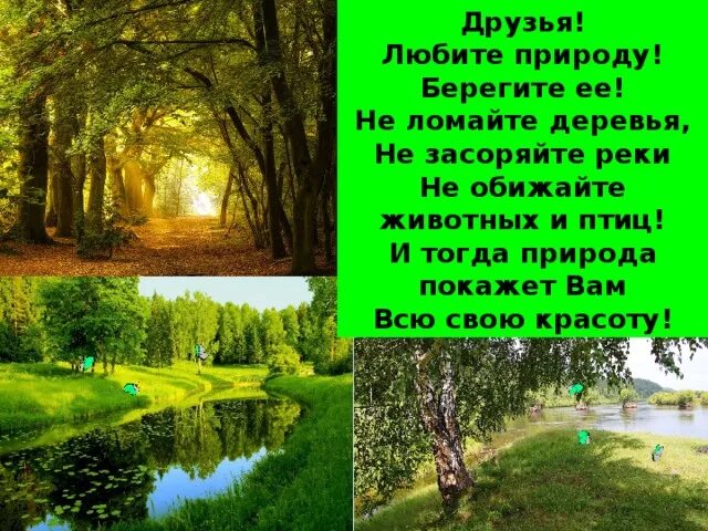 Что по вашему любить природу. Любите природу. Любите и берегите природу. Берегите природу и любите животных. Я люблю природу.