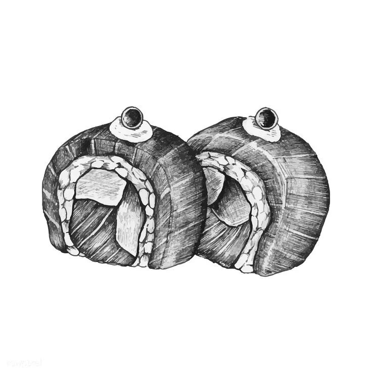 Нарисованные роллы и суши. Суши рисунок карандашом. Блэк пенсел мем. Black pencil sushi. Суши рисунок.