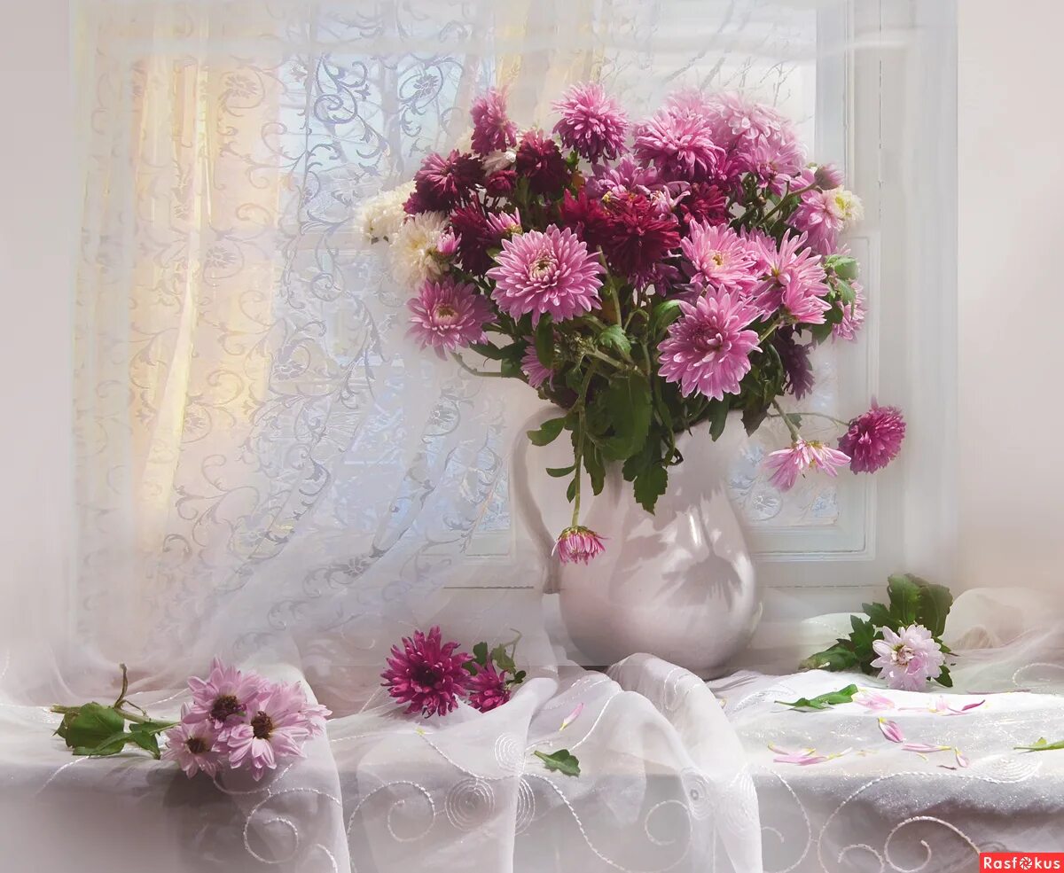 астры на подоконнике. букет на окне. цветы хризантемы на окне. хризантемы на окно. желтые хризантемы на окне.