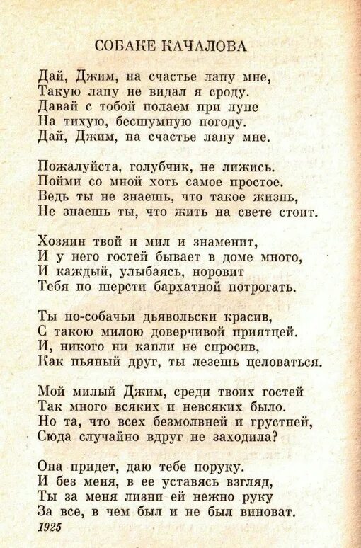 Стихотворение дай лапу джим. Есенин собаке Качалова стих. Стихотворение Есенина собаке Качалова. Собаке Качалова стих. Дай Джим на счастье лапу мн.