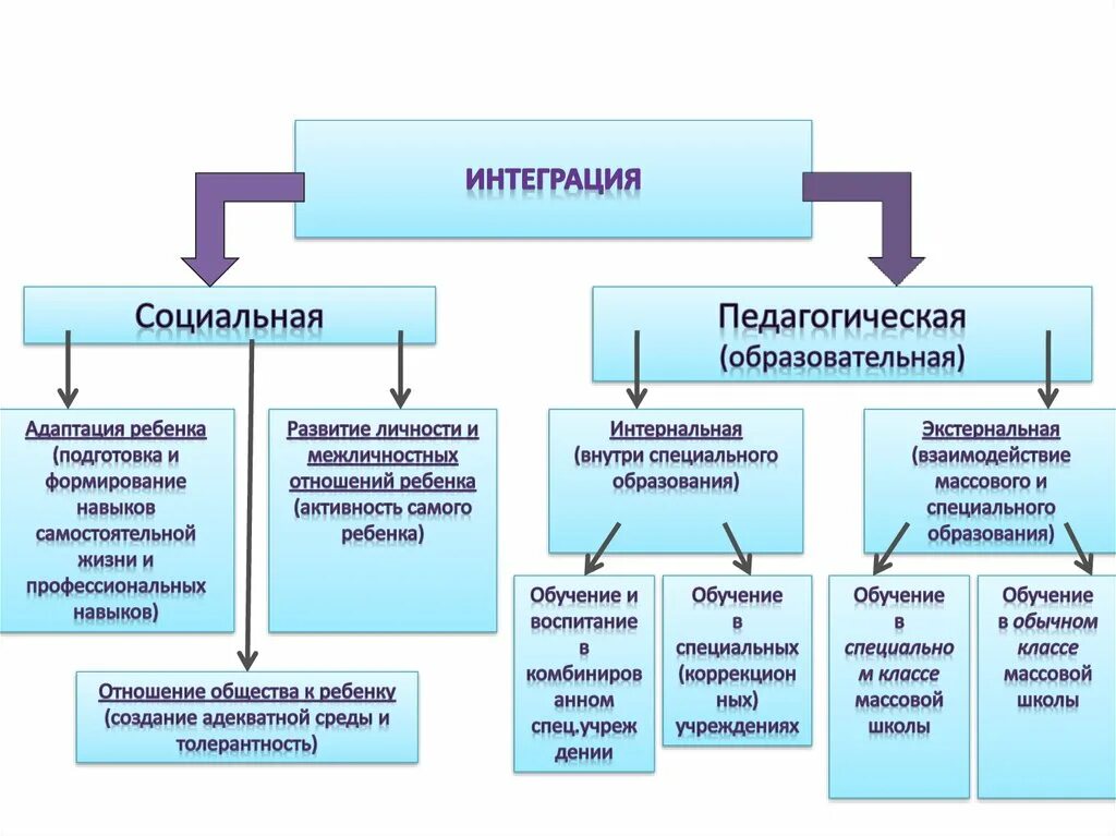 Понятие социальная интеграция. Формы интеграции детей с ОВЗ. Виды интегрированного обучения. Виды интеграции в образовании. Интеграция в образовании это.