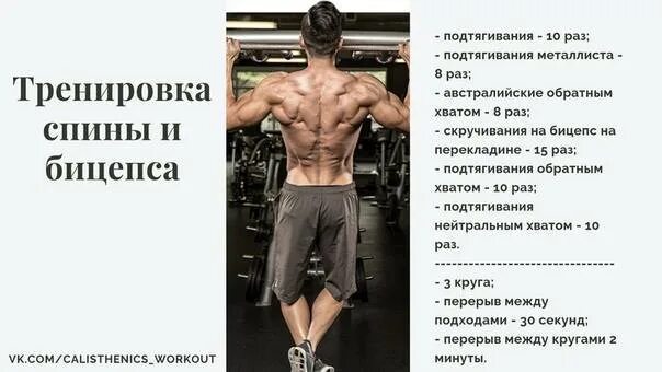 Тренировка спины в тренажерном программа. Упражнения на спину и бицепс. программа тренировок на спину. тренировка спина бицепс. план тренировки спина бицепс.