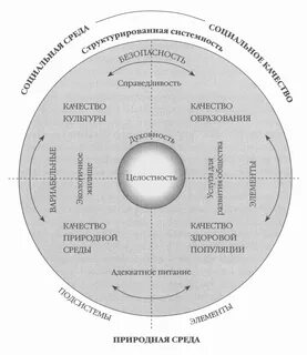 Анализ понятия жизнь