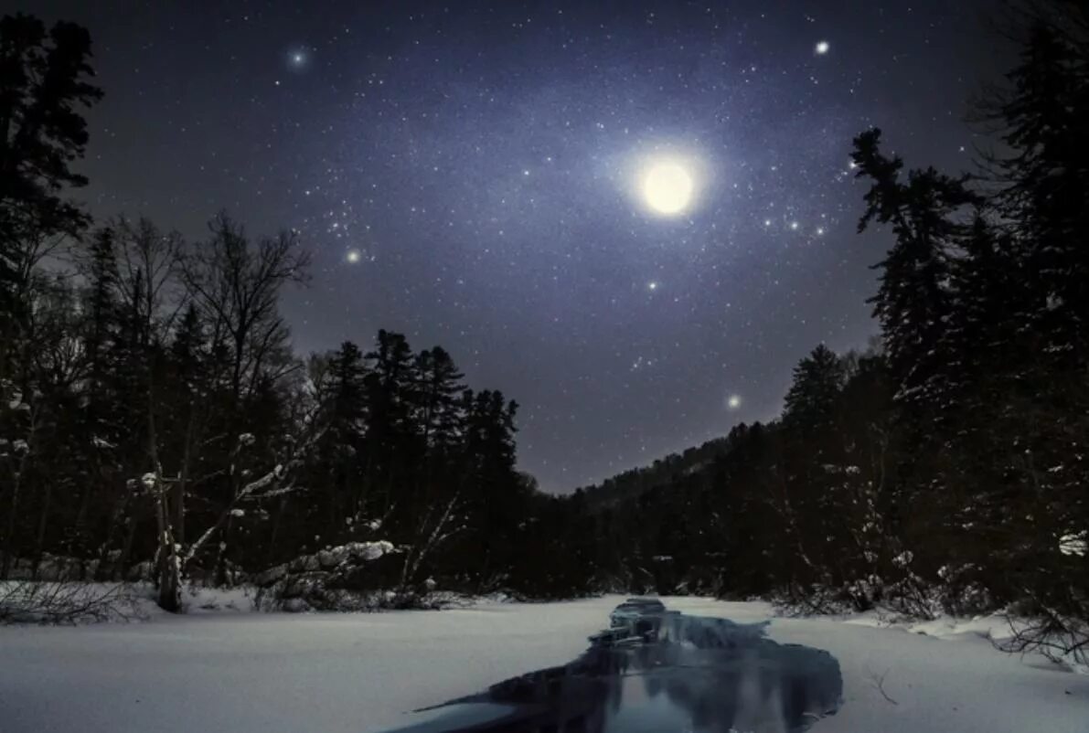 заснеженный лес вечером. зимний вечер. ночь февраля картинки. снег ночью. к вечеру.
